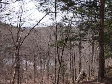 0 South Rd, Woodstock, VT 05071 - photo 5