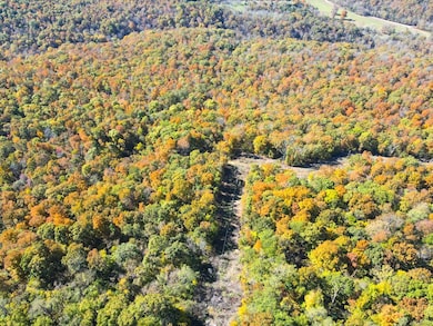 0000 Highway 412, Berryville, AR 72616 - photo 2