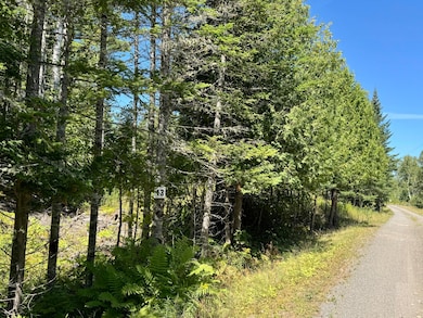 Lot 13 Red Rock Estates, Pembroke, ME 04666 - photo 6