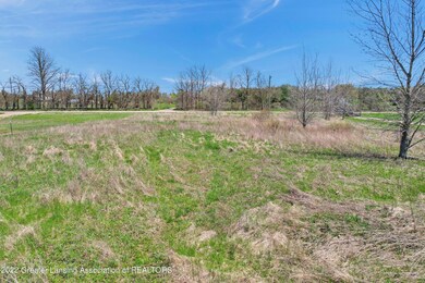 4. Back of lot view to road