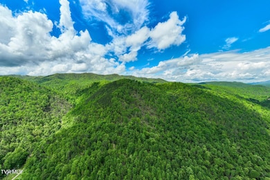 TBD Fire Tower Road (8 of 22)