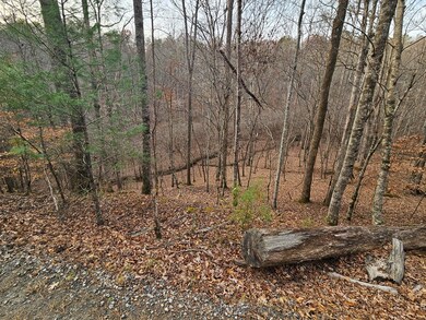 0 Garnet Dr unit 420452, Ellijay, GA 30540 - photo 3