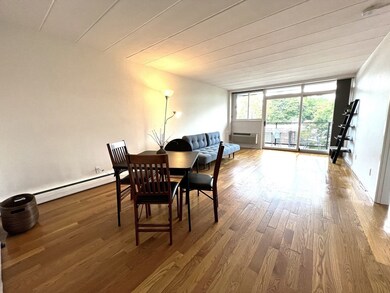 345 Harvard St unit 4E, Cambridge, MA 02138 - photo 4