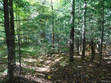 TBD 1 Moore Rd, Bessemer, MI 49911 - photo 5