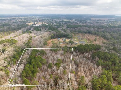 Tbd Morgan Rd, Seabrook, SC 29940 - photo 2