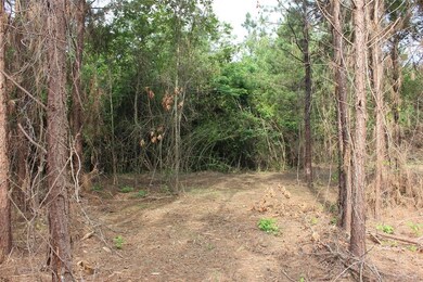 0 Fm 2251 Lot 1 unit 29919240, Lufkin, TX 75904 - photo 2