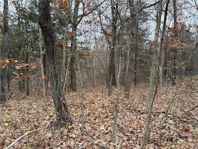 0 Dover Bluff, Waverly, MO 64096 - photo 7