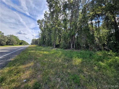 4286 N Carl G Rose Hwy, Hernando, FL 34442 - photo 3