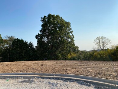 L72 Ph2 Irish Hills Estates, Nixa, MO 65714 - photo 3
