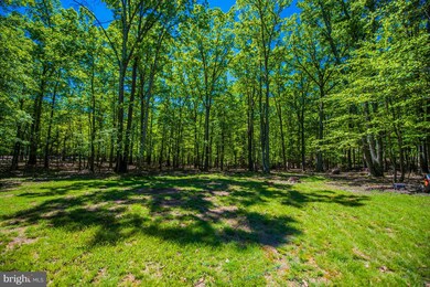 313 Chipmunk Way, Great Cacapon, WV 25422 - photo 5