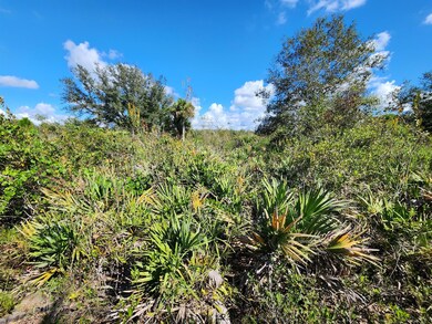 17707 NW 274th St, Okeechobee, FL 34972 - photo 2