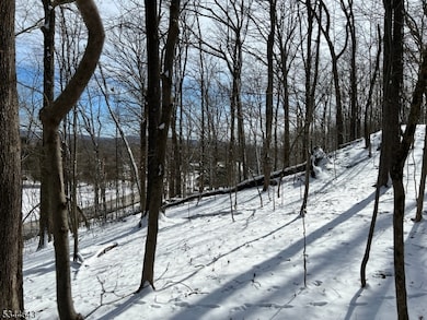 3 Kimble Ln, Sparta, NJ 07871 - photo 4