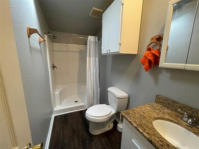Hall bath (shower has seat). Granite countertop