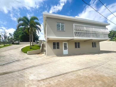 919 Carr 919 unit Lot 7, Juncos, PR 00777 - photo 2