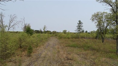 0 Hwy 77 unit 1527572, Swiss Township, WI 54830 - photo 4