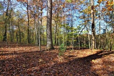 135 Wildeman Trail, Statesville, NC 28625 - photo 7