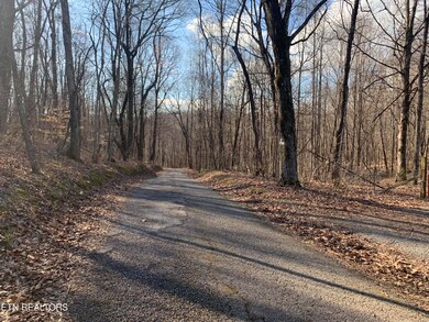 1803 Promiseland Rd, Blaine, TN 37709 - photo 3