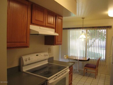 18229 N 99th Dr, Sun City, AZ 85373 - photo 7
