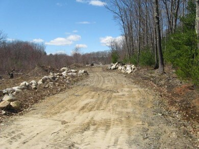 0 Wilderness Way unit 1525568, Lyman, ME 04002 - photo 4