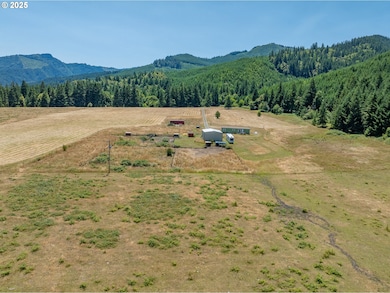 45651 Johnson Mountain Rd, Powers, OR 97466 - photo 5