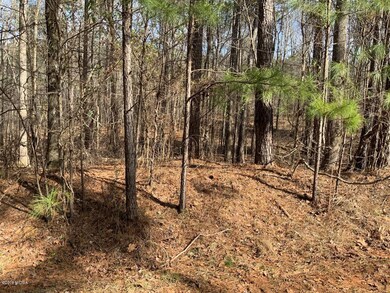 0 N Rivoli Farms Dr unit 143897, Macon, GA 31210 - photo 2