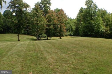 63 Wild Turkey Ln, Amissville, VA 20106 - photo 3