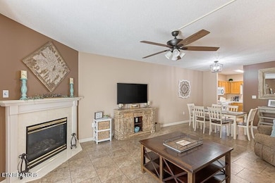 205 Ogle Dr unit 323, Pigeon Forge, TN 37863 - photo 3