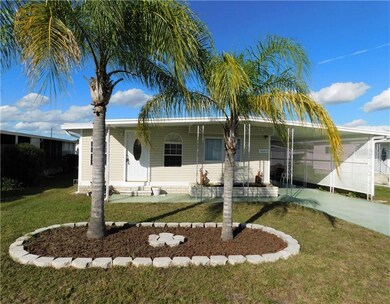Two palm trees in the winter oasis.