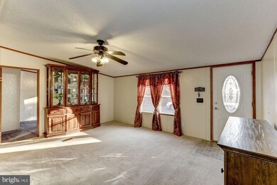 146 Aquia Creek Rd, Stafford, VA 22554 - photo 7