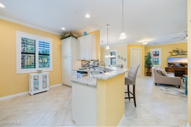 9070 Albion Ln N unit 5801, Naples, FL 34113 - photo 5