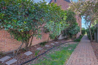 Tree lined pathway to entrance