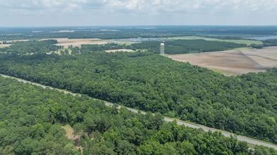 HWY 19 U S Highway 19, Camilla, GA 31730 - photo 3