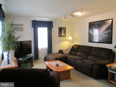 708 Pearl Ave, Morton, PA 19070 - photo 5