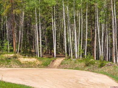 TBD Hidden Mine Rd, Crested Butte, CO 81224 - photo 3