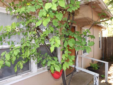 DSCF6421
