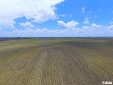 0 Illinois 125, Virginia, IL 62691 - photo 7