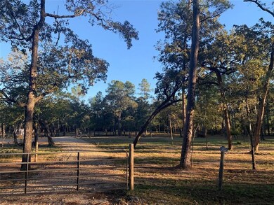 24102 Pinewood Valley Dr, Hockley, TX 77447 - photo 7