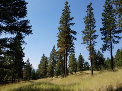 Nhn Torto Loop, Kila, MT 59920 - photo 4