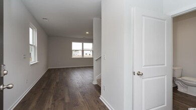 153 Spring Wheat Way unit Lot 161 - Arden A, Conway, SC 29527 - photo 3