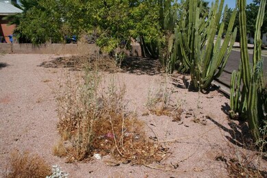 front yard