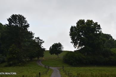 DSC_0005