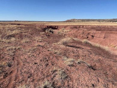 Tbd Rincon Valley Rd, Saint Johns, AZ 85936 - photo 4