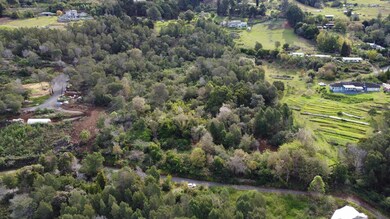 0 Haleakala Hwy unit 398383, Kula, HI 96790 - photo 7