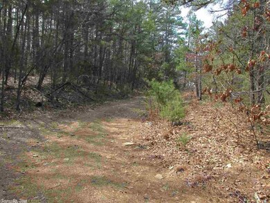 7.62 Acres Arkansas 25, Heber Springs, AR 72543 - photo 7