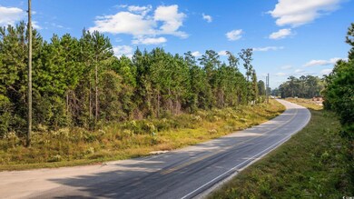 TBD Old Reaves Ferry Rd unit TBD Old Highway 90, Conway, SC 29526 - photo 3