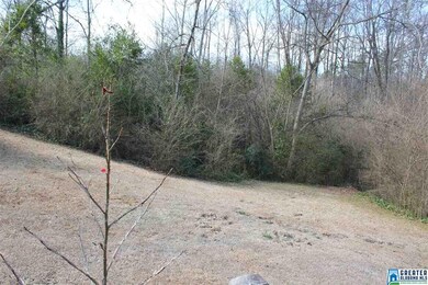 2344 3rd St NE, Center Point, AL 35215 - photo 4