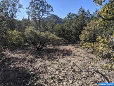 4775 N Swan St, Silver City, NM 88061 - photo 4