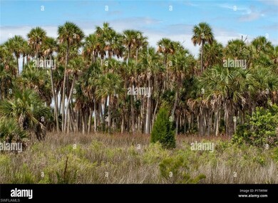 View of undeveloped land
