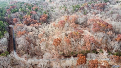 1 County Road 137, Cedar Bluff, AL 35959 - photo 2