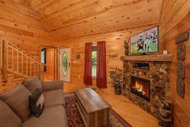 fireplace/gas logs